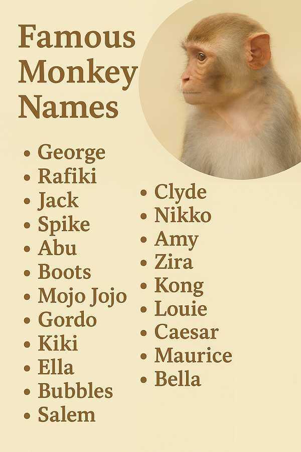 Famous Monkey Names