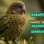 Kakapo Names