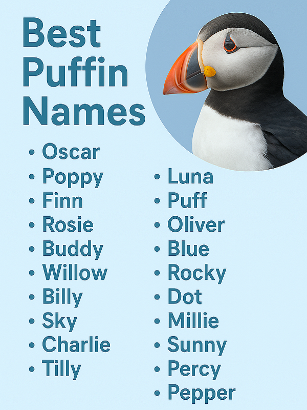 Best Puffin Names