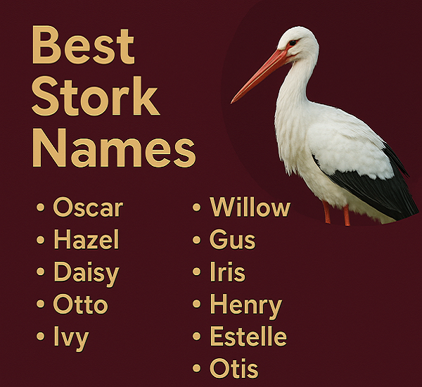 Best Stork Names