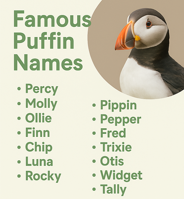 Famous Puffin Names