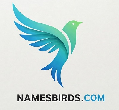 Names Birds