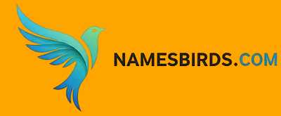 Namesb