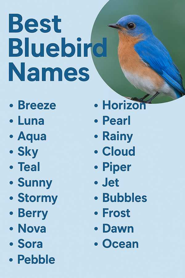 Best Bluebird Names