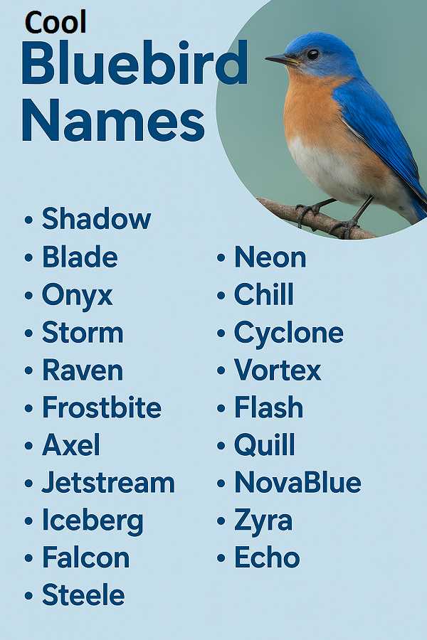 Cool Bluebird Names