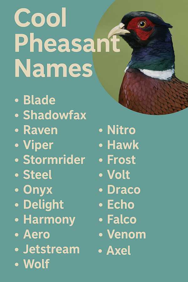 Cool Pheasant Names