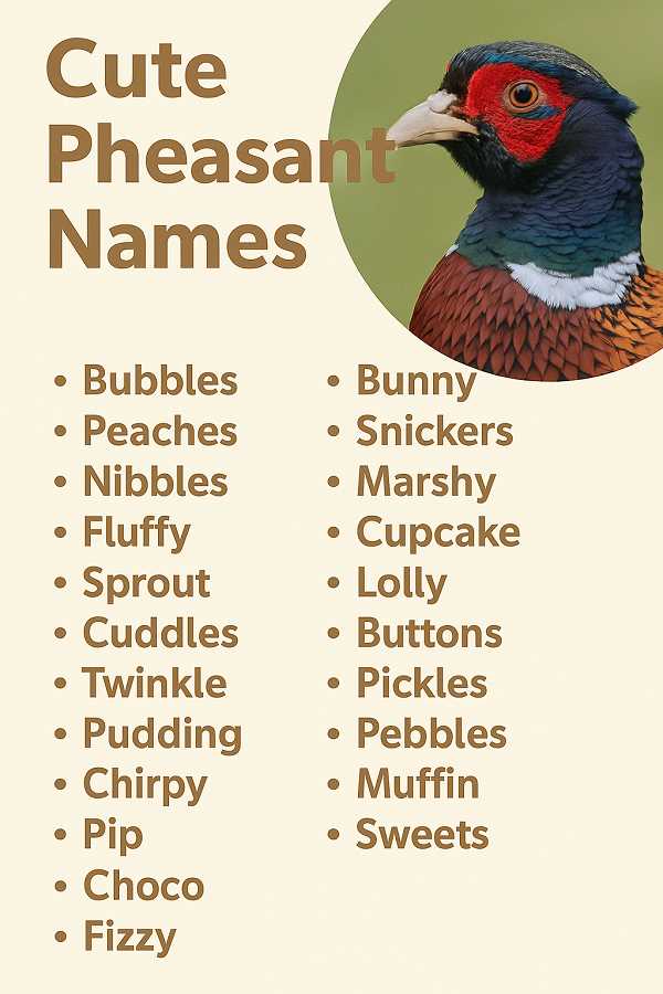 Cute Pheasant Names