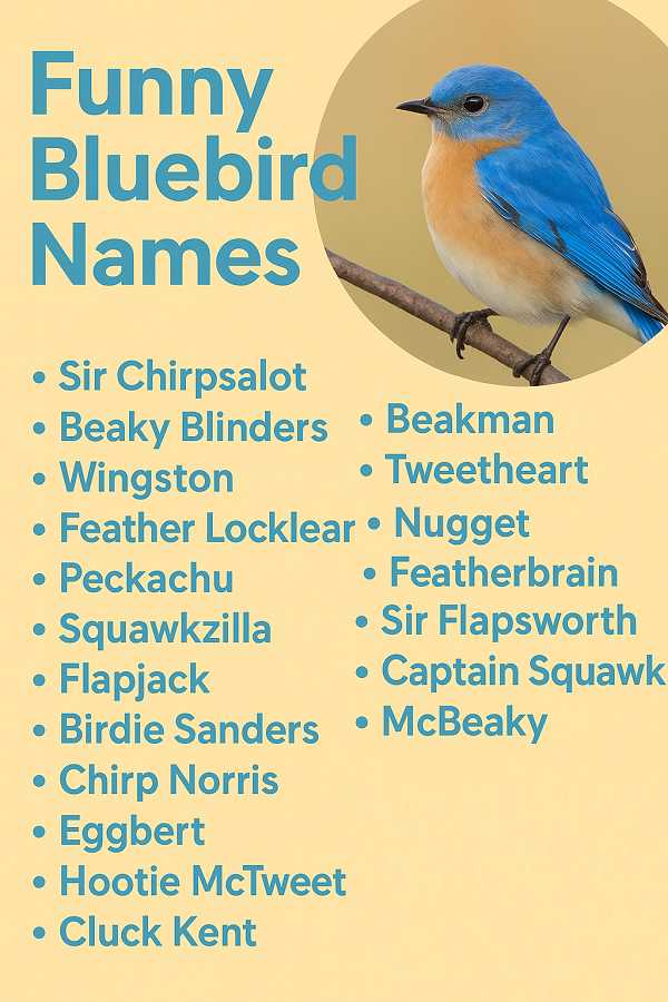 Funny Bluebird Names